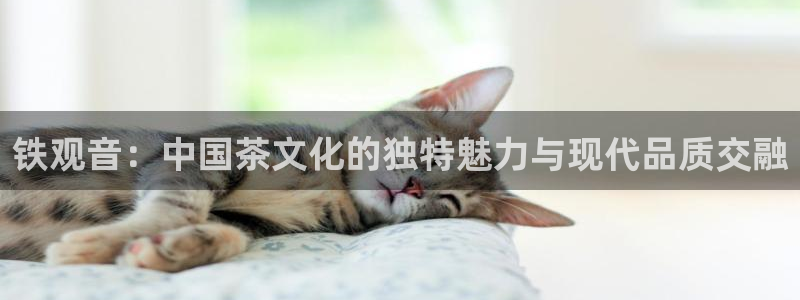 鸿运注册平台官网