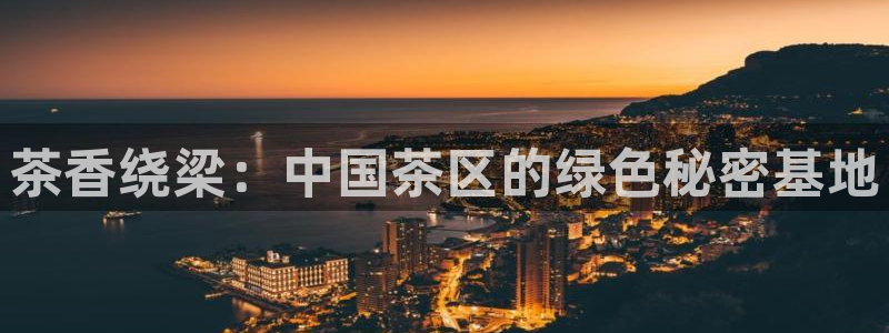 鸿运平台代理代