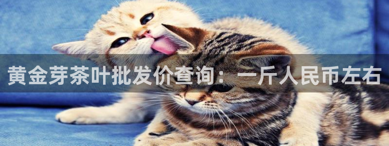 鸿运当头在哪个平台