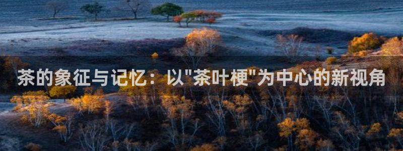 鸿运国际平台咋样