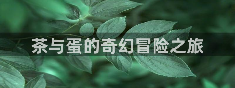 鸿运最新平台叫什么