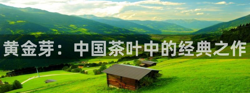 鸿运交易平台app