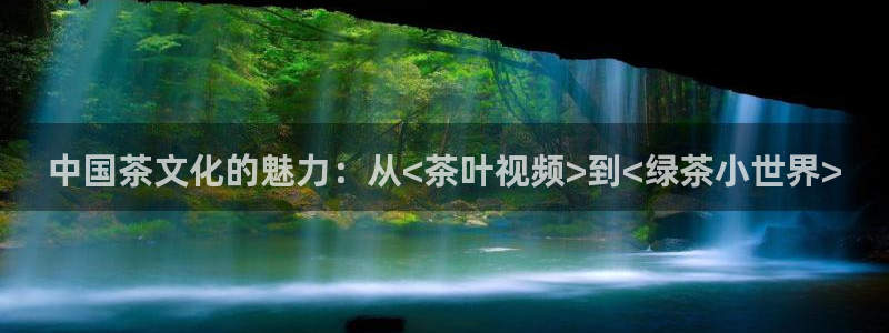 鸿运网是什么平台