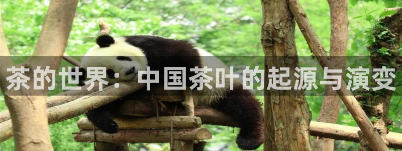 双平台鸿运当头