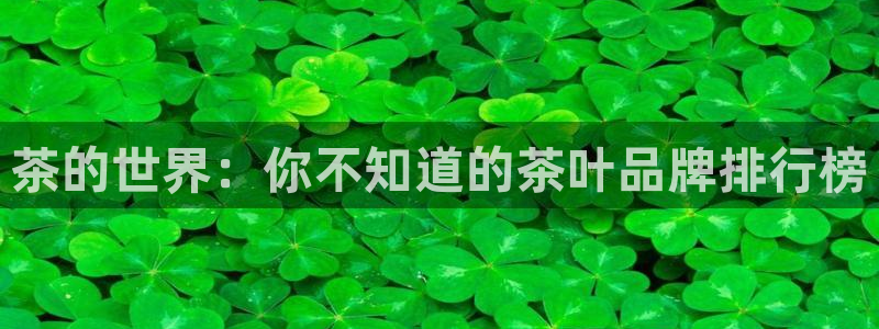 香港鸿运是什么平台