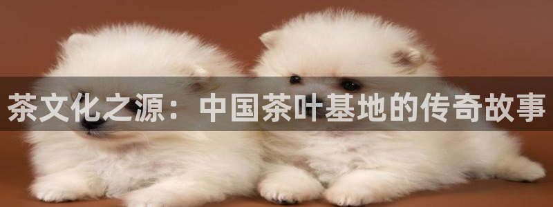 鸿运国际黑平台