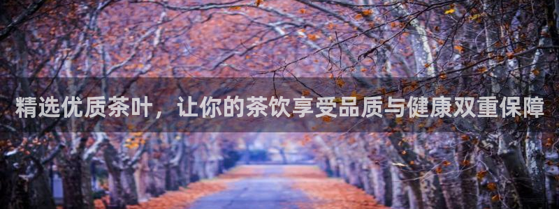 鸿运首选投资平台