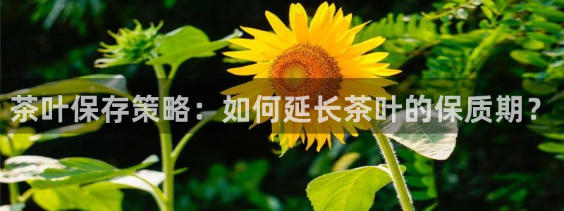 鸿运到游戏直播平台