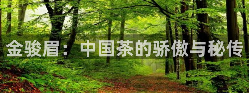 鸿运平台正规吗