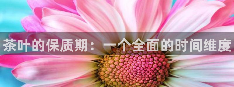 鸿运平台垫付任务