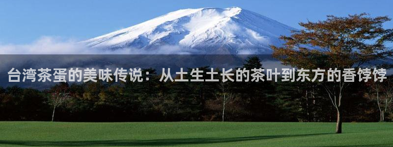 鸿运平台推荐产品