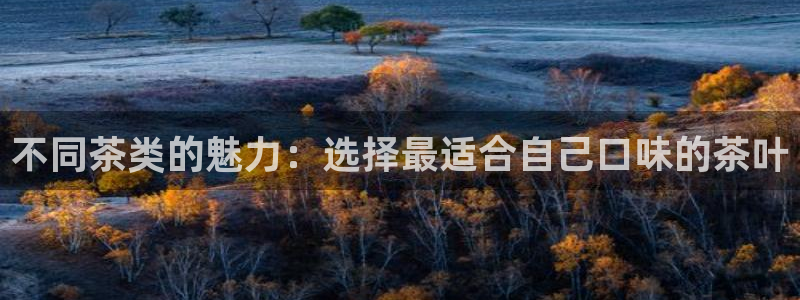 鸿运到游戏直播平台