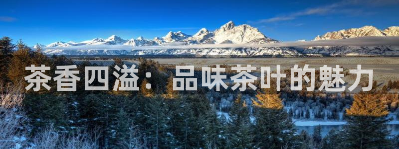 鸿运彩票平台注册