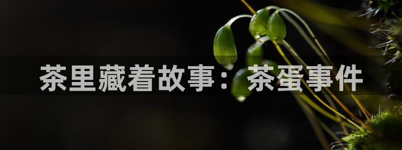 鸿运集团平台招聘要求