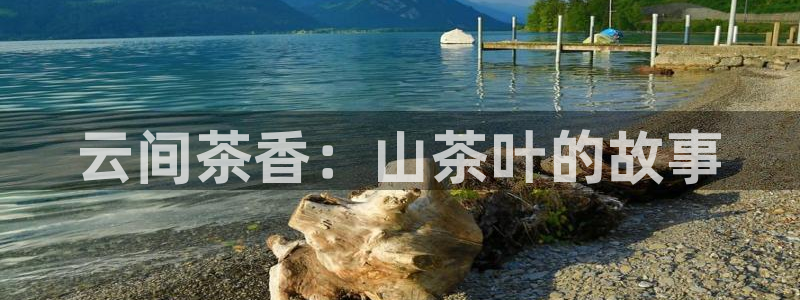 鸿运到平台兼职