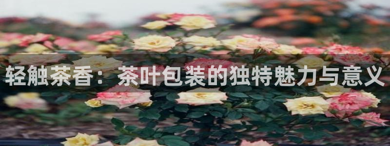 鸿运app直播平台