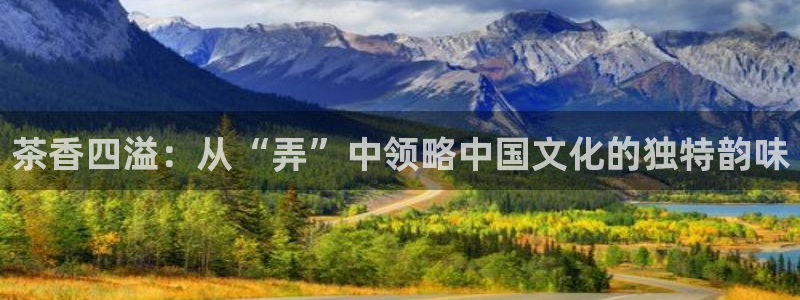 琥珀鸿运平台登录页面