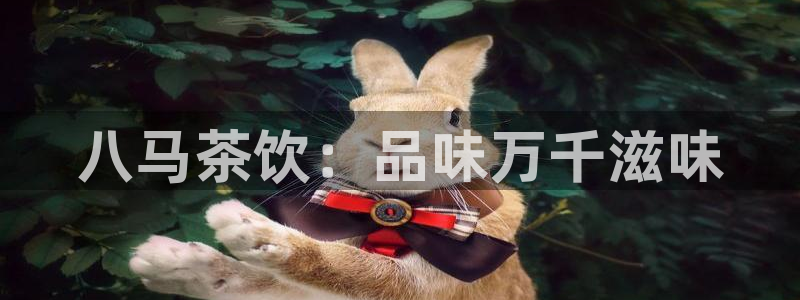 鸿运策略平台股票骗局