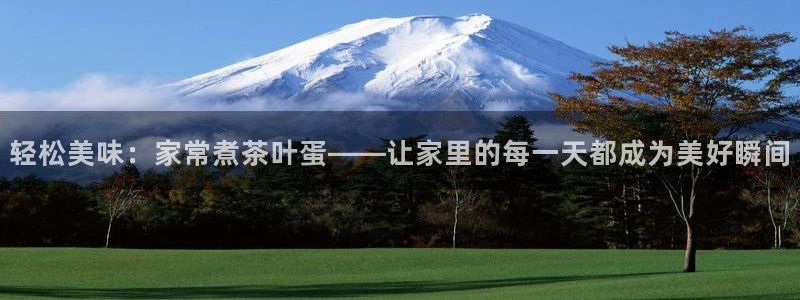 鸿运十三张充值平台