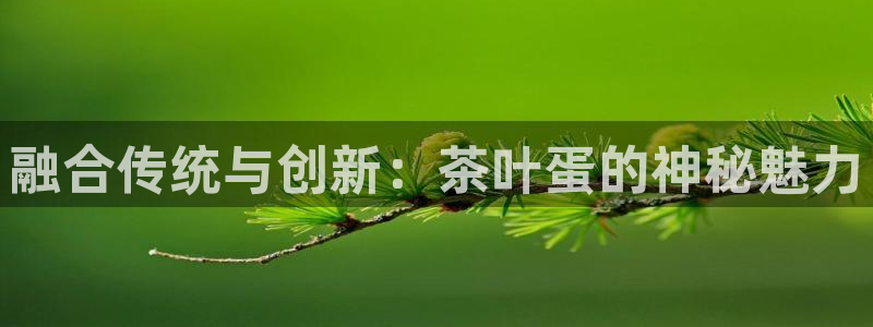 鸿运合拍是什么平台