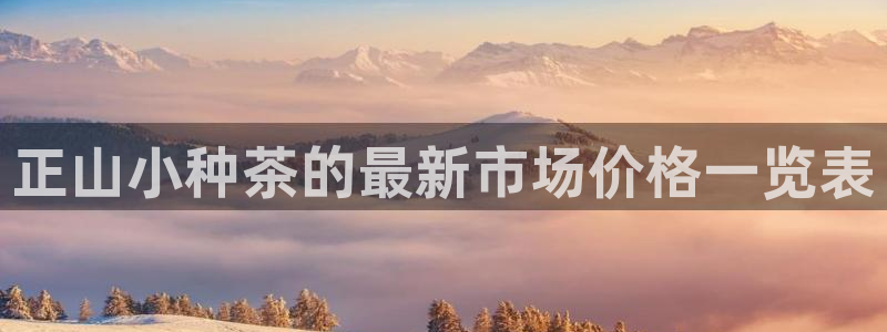 鸿运宝投资理财平台