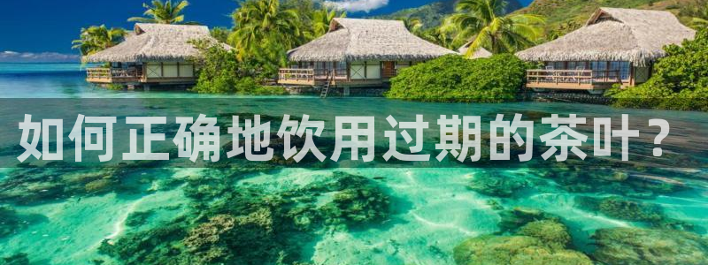 鸿运通什么平台