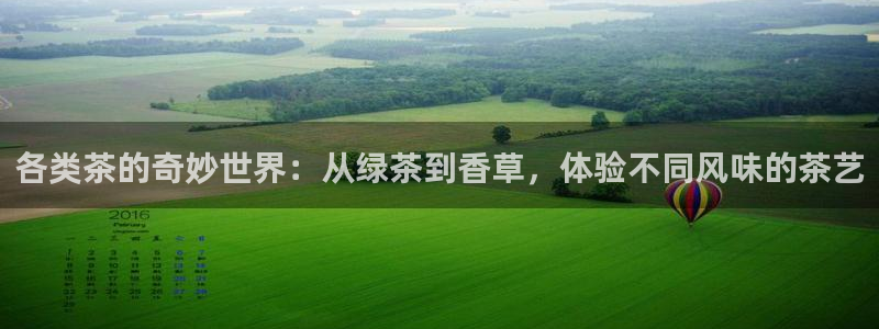 鸿运体育平台网址是什么