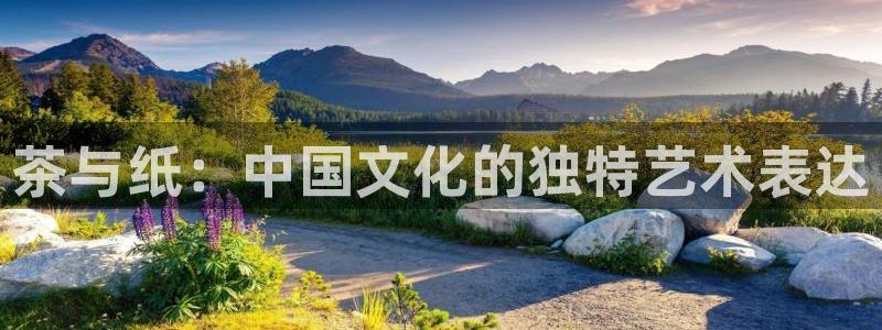 鸿运平台投资诈骗