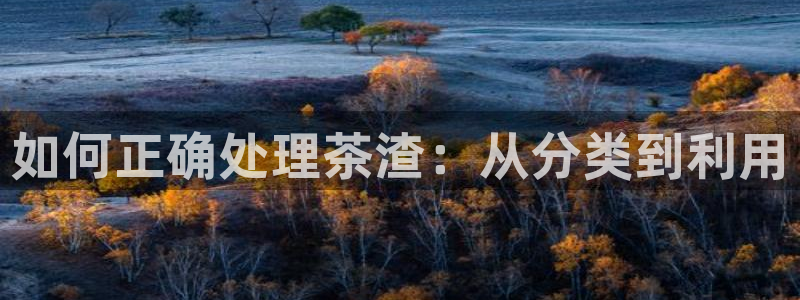 鸿运食品直播平台