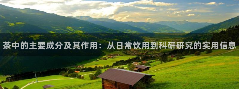 鸿运来补单平台