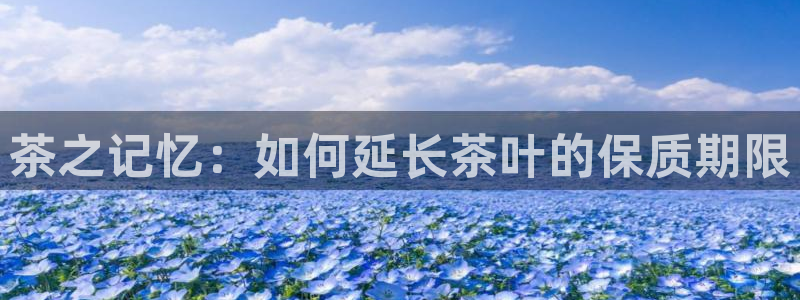 鸿运网938777平台