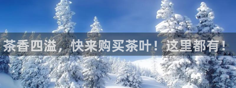 鸿运平台招商注册