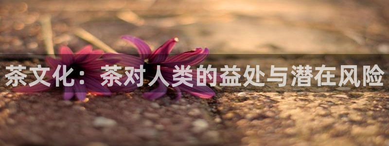 鸿运平台被骗事件