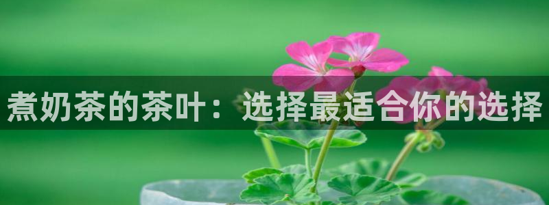 鸿运军团平台被骗