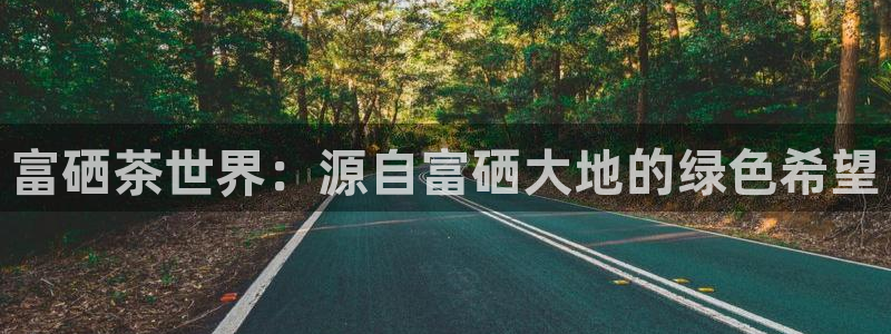 东方阿保鸿运购物平台