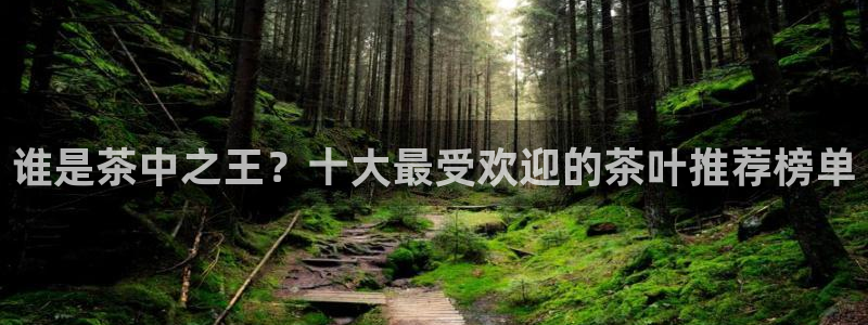 鸿运农场直播平台