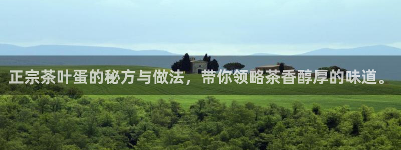 鸿运商通管理平台