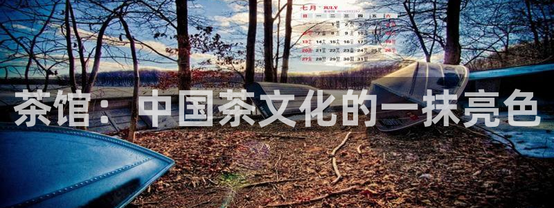 鸿运彩 票诈骗平台