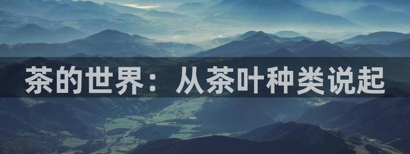 鸿运寄卖回收平台