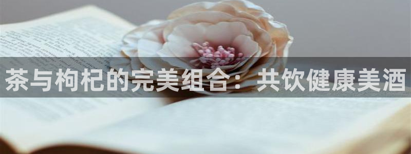 鸿运平台刷流水