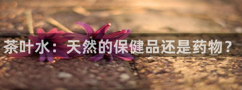 鸿运团队推广平台