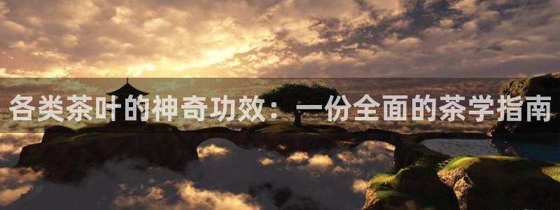 鸿运来是什么平台