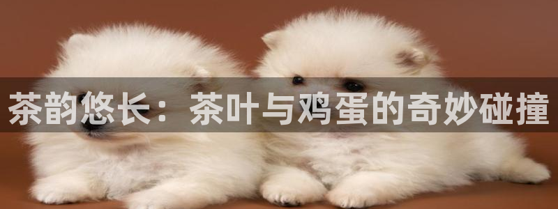 鸿运彩票平台的网址