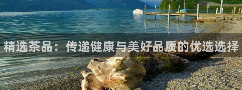 琥珀鸿运平台挣钱真实吗