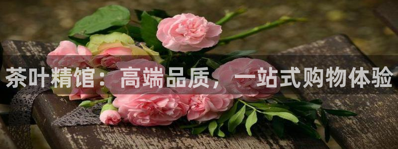 鸿运集团有几个平台