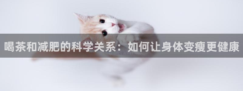 鸿运达交易平台