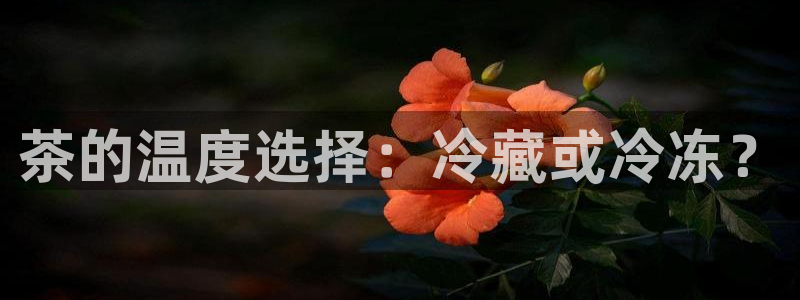 鸿运物流直播平台