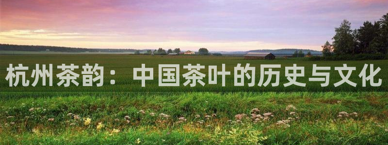 鸿运连锁管理平台