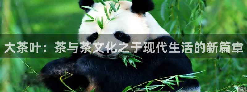 鸿运平台代理理