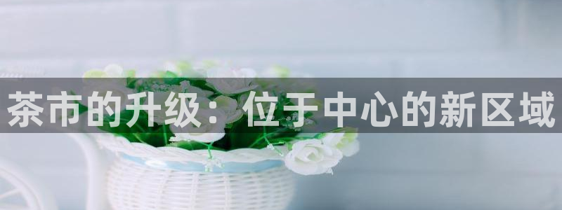 鸿运投资平台是什么平台